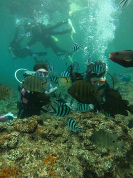 沖縄マリンサービス碧に投稿された画像（2023/9/12）