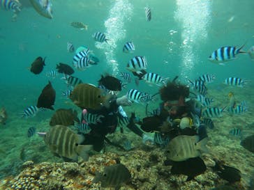 沖縄マリンサービス碧に投稿された画像（2023/9/12）