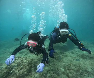 武藤潜水に投稿された画像（2023/9/12）