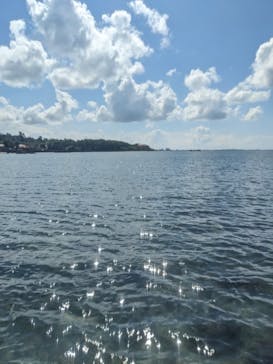 石垣島波商店に投稿された画像（2023/9/12）