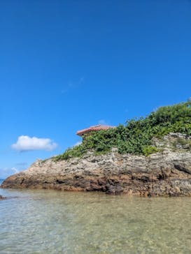 石垣島波商店に投稿された画像（2023/9/12）