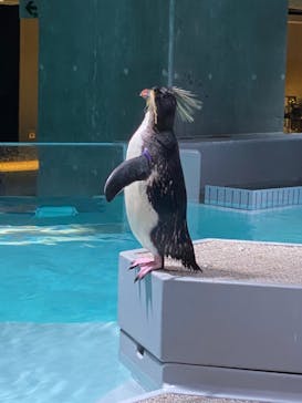 AOAO SAPPOROに投稿された画像（2023/9/12）