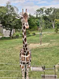 天王寺動物園に投稿された画像（2023/9/12）
