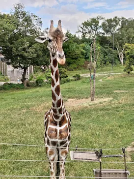 天王寺動物園に投稿された画像（2023/9/12）