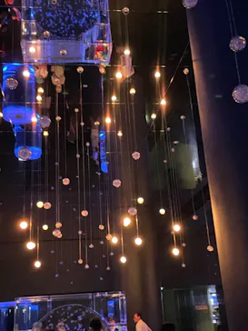 マクセル アクアパーク品川に投稿された画像（2023/9/12）