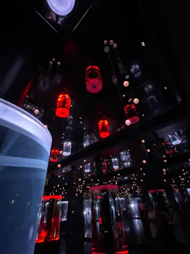 マクセル アクアパーク品川に投稿された画像（2023/9/12）