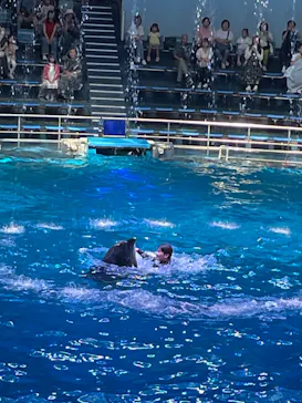 マクセル アクアパーク品川に投稿された画像（2023/9/12）