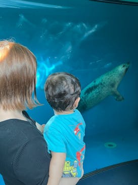 しながわ水族館に投稿された画像（2023/9/12）