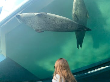 しながわ水族館に投稿された画像（2023/9/12）