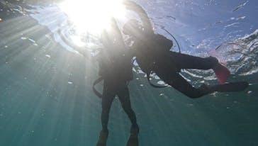 青の洞窟専門店　沖縄ダイビングショップ和に投稿された画像（2023/9/12）