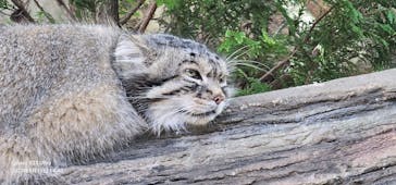 那須どうぶつ王国に投稿された画像（2023/9/12）