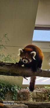 那須どうぶつ王国に投稿された画像（2023/9/12）