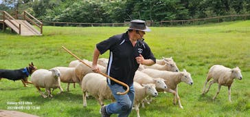 那須どうぶつ王国に投稿された画像（2023/9/12）