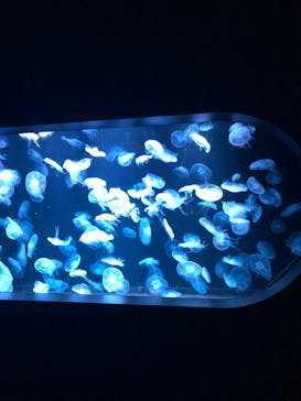 AOAO SAPPOROに投稿された画像（2023/9/12）