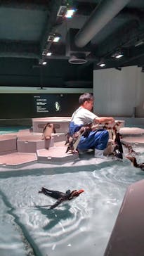 AOAO SAPPOROに投稿された画像（2023/9/12）