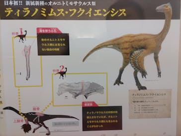 福井県立恐竜博物館に投稿された画像（2023/9/12）