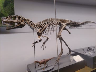 福井県立恐竜博物館に投稿された画像（2023/9/12）