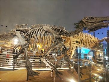 福井県立恐竜博物館に投稿された画像（2023/9/12）