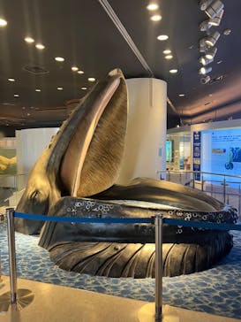 沖縄美ら海水族館に投稿された画像（2023/9/12）