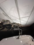 DinoScience 恐竜科学博 2023@TOKYO MIDTOWNに投稿された画像（2023/9/12）