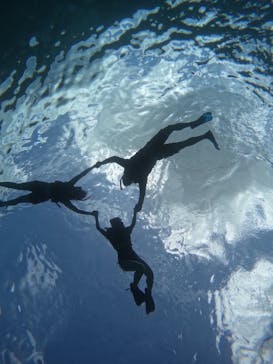 宮古島 ADVENTURE PiPi（ミヤコジマ アドベンチャー ピピ）に投稿された画像（2023/9/12）