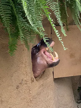 神戸どうぶつ王国に投稿された画像（2023/9/12）