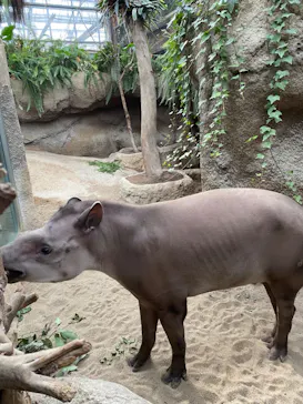 神戸どうぶつ王国に投稿された画像（2023/9/12）