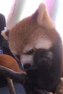 横浜・八景島シーパラダイスに投稿された画像（2023/9/12）