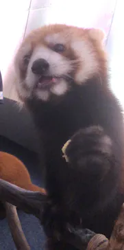 横浜・八景島シーパラダイスに投稿された画像（2023/9/12）