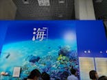 特別展「海　―生命のみなもと―」（国立科学博物館）に投稿された画像（2023/9/12）