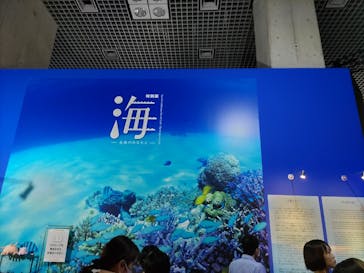特別展「海　―生命のみなもと―」（国立科学博物館）に投稿された画像（2023/9/12）