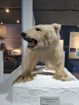 特別展「海　―生命のみなもと―」（国立科学博物館）に投稿された画像（2023/9/12）