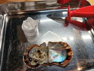 三重県真珠に投稿された画像（2023/9/12）