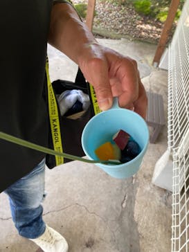 おさるランド＆アニタウン　日光さる軍団劇場に投稿された画像（2023/9/12）