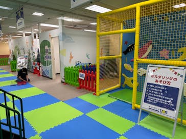 キッズランドUS 大阪松原店に投稿された画像（2023/9/12）
