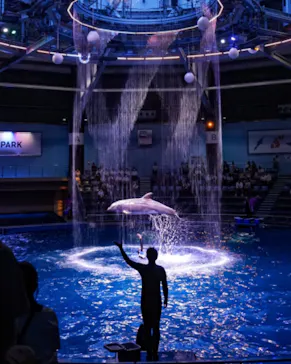 マクセル アクアパーク品川に投稿された画像（2023/9/12）