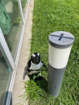 マリンワールド海の中道に投稿された画像（2023/9/12）