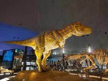 福井県立恐竜博物館に投稿された画像（2023/9/12）