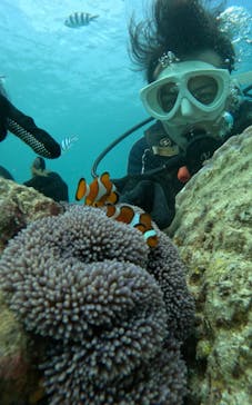 青の洞窟専門店　沖縄ダイビングショップ和に投稿された画像（2023/9/12）