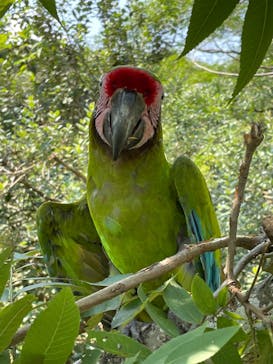 長崎バイオパークに投稿された画像（2023/9/12）