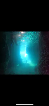 武藤潜水に投稿された画像（2023/9/13）