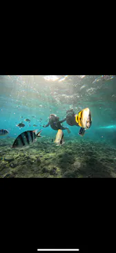 武藤潜水に投稿された画像（2023/9/13）