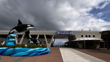 鴨川シーワールドに投稿された画像（2023/9/13）