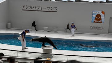 鴨川シーワールドに投稿された画像（2023/9/13）