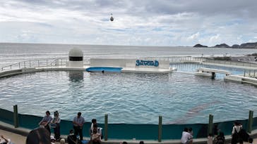 鴨川シーワールドに投稿された画像（2023/9/13）