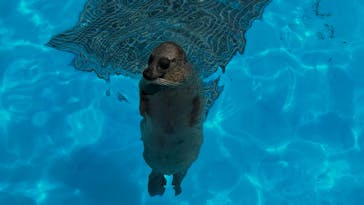 鴨川シーワールドに投稿された画像（2023/9/13）