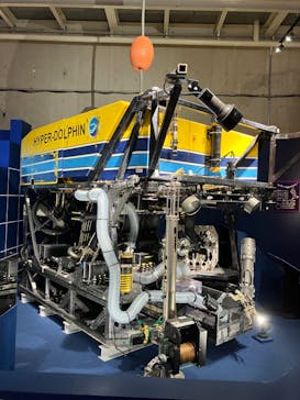 特別展「海　―生命のみなもと―」（国立科学博物館）に投稿された画像（2023/9/13）