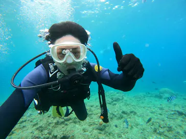 武藤潜水に投稿された画像（2023/9/13）