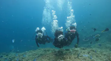 武藤潜水に投稿された画像（2023/9/13）