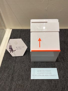 特別展「ネコ」 ～にゃんと！クールなハンターたち～に投稿された画像（2023/9/13）